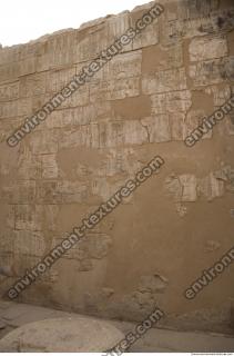 Photo Texture of Habu 0164